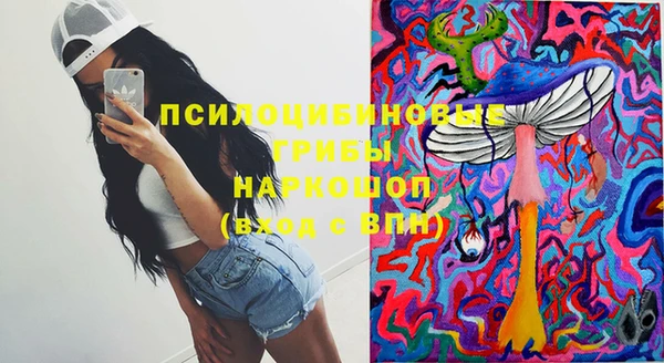 ПСИЛОЦИБИНОВЫЕ ГРИБЫ Армянск