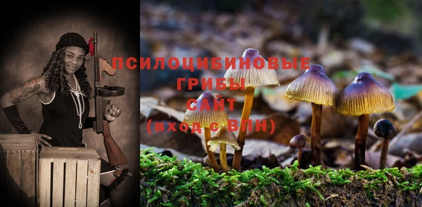мет Аркадак