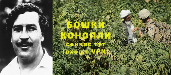 ПСИЛОЦИБИНОВЫЕ ГРИБЫ Армянск