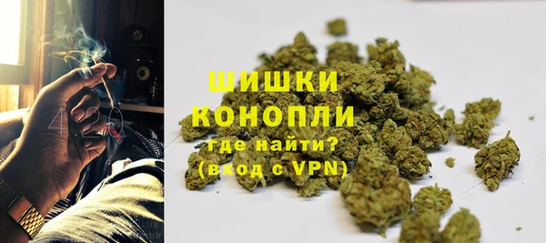 ПСИЛОЦИБИНОВЫЕ ГРИБЫ Армянск