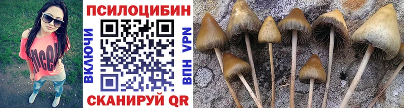 МЕГА зеркало  Пудож  Псилоцибиновые грибы мухоморы 